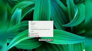 Почему исчезли значки на рабочем столе Windows 11? ТОП-10 решений за 90 секунд!