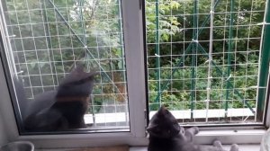На окошке тоже неплохо.