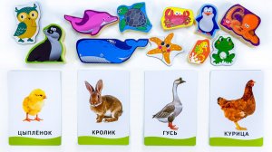 Названия Животных для Малышей 🐶🐘 Учим, Повторяем и Развиваем Речь! ✨🧩