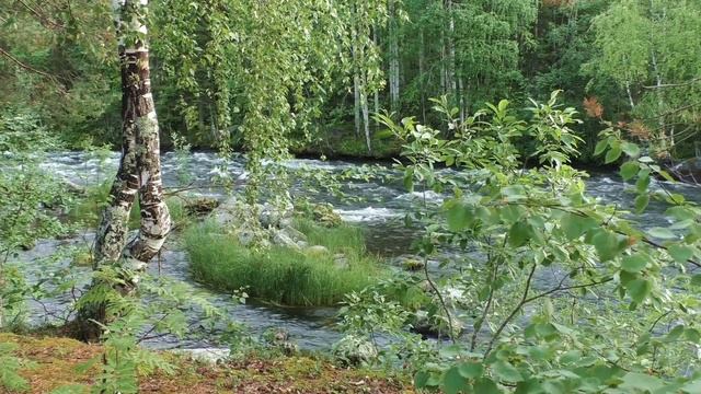 Чересполосье (песня под гитару)