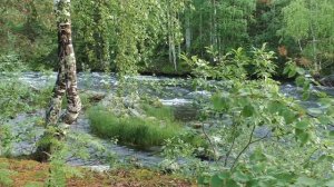 Чересполосье (песня под гитару)