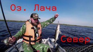 Рыбалка на СЕВЕРЕ. Судак и Щука Троллингом. Рыба в Автоклаве