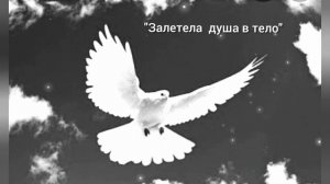 Юлия Славянская  - "Залетела душа в тело".