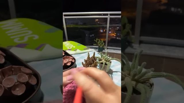 Nataly Masters в прямом эфире! смотреть онлайн