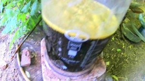 ПОМЕНЯЙТЕ РАСТВОРИТЕЛЬ ДИМЕТИЛГЛИОКСИМА И ОСАДОК БУДЕТ ЧИЩЕ !!!