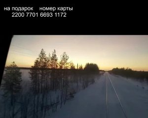 ЖД мост через р.Пинега