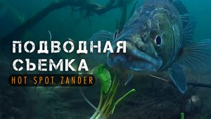 Подводная съёмка турнира по ловле судака - HOT SPOT ZANDER 2 Сезон