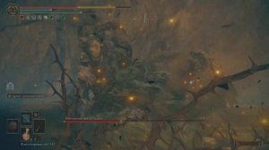 ELDEN RING_Босс: Воплощение Древа Упадка