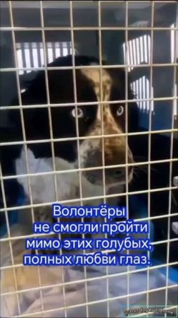 Пусть тебя увидят!