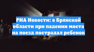 РИА Новости: в Брянской области при падении моста на поезд пострадал ребенок