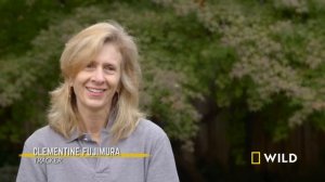 Firework Frenzy (Full Episode) | Trackers