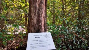 MANDARAVA RESORT & SPA, КАРОН. ЛУЧШИЙ НА ПХУКЕТЕ? Территория, ном?