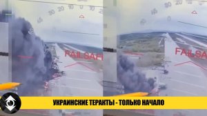 Украинский ТЕРАКТ: Паутина