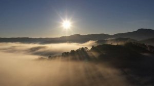 Красивый лес часть 10
