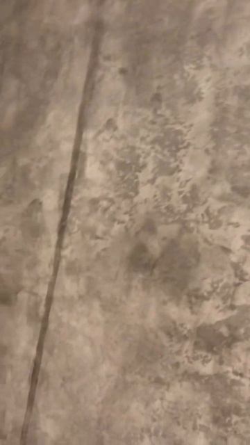 Обычная шпаклёвка + грунтовка с колером Декоративная ? смотреть онлайн