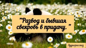 Тот случай, когда могло бы быть смешно, если бы не было всё так печально.