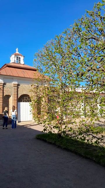 #санктпетербург Барак Монплезир смотреть онлайн