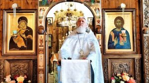 проповедь на свв. отцев 1 Вселенского Собора (нед 7 по Пасхе)