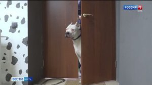 1 июня «Вести-Чита. События недели» в 15:00