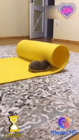 💻 Подготовка к лету