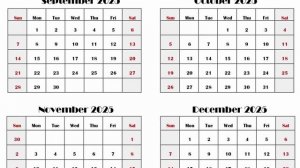 КОГДА ВЫЙДЕТ STEEL BALL RUN? И СКОРО ЛИ ЭТО БУДЕТ?