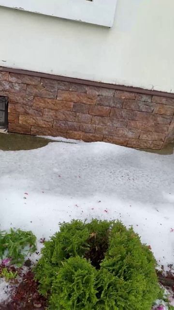 1 июня 2025г смотреть онлайн