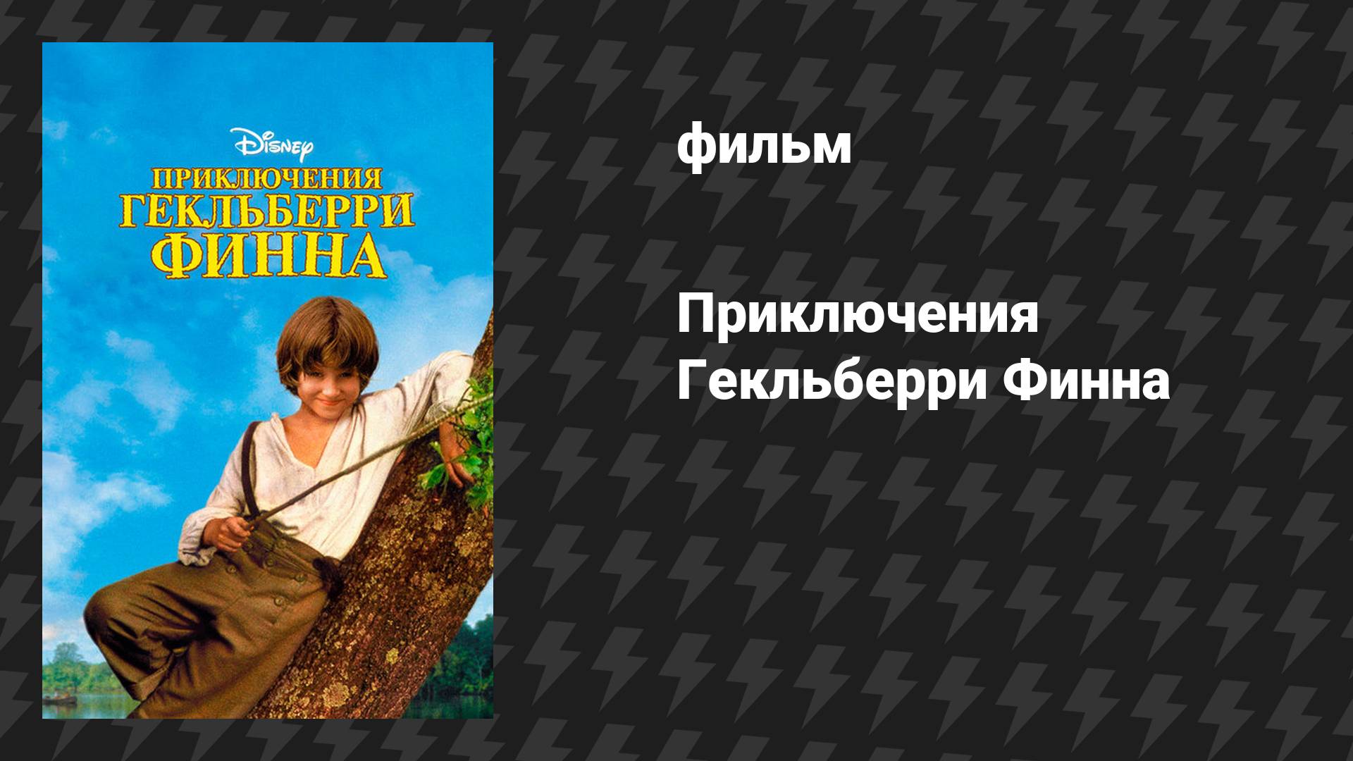 Приключения Гекльберри Финна (фильм, 1993)