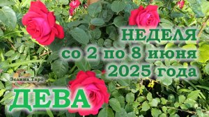 ДЕВА | ТАРО прогноз на неделю со 2 по 8 июня 2025 года
