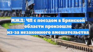 МЖД: ЧП с поездом в Брянской области произошло из-за незаконного вмешательства