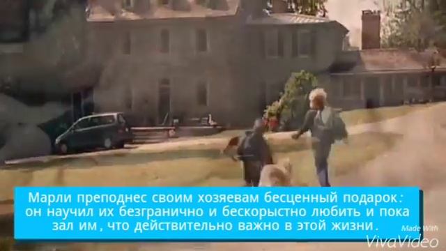 Буктрейлер Марли и я смотреть онлайн