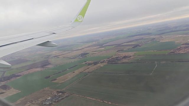 Рейс Калининград - Домодедово - Толмачёво (Новосибирск смотреть онлайн