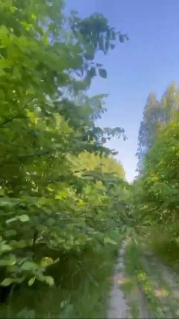 позитивчик🎼🌱 смотреть онлайн