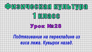 Физическая культура.1 класс (Урок№28 - Подтягивание на перекладине из виса лежа. Кувырок назад.)