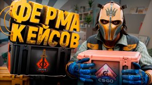 ДРОП ФЕРМЫ КС2 | ОТЧЕТ ФАРМА КЕЙСОВ CS2 |  СКОЛЬКО МОЖНО ЗАРАБОТАТЬ НА ПРАЙМАХ STEAM | НОВОСТИ МАЯ