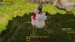 играем в CHKN