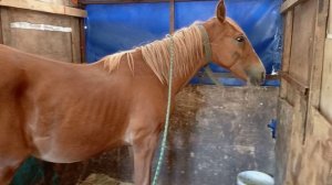 Ночёвка Хана