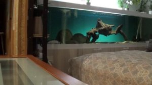 508.Mitsubishi outlander.Продал и перекрестился.