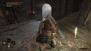 прохождение elden ring в коопе вдвоём (seamless coop) с модом err (ELD