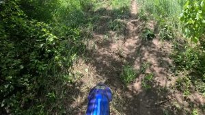 Гора в Оленем логу Рамонь