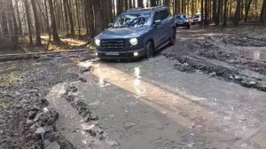 Дарго на бездорожье