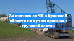 За полчаса до ЧП в Брянской области по путям проезжал грузовой состав