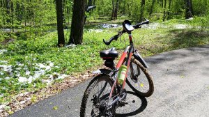 велотренировка