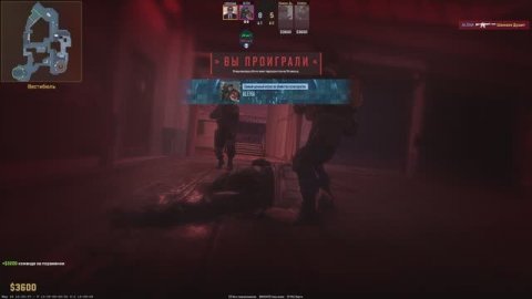 КС2 Напарники на Рутубе#топыкатегорий