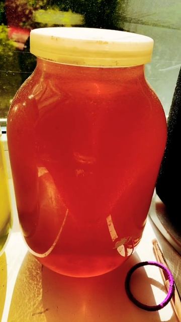 Какой вкуснее МЕД: АКАЦИИ или ГРЕЧАНЫЙ ? #shorts #мед смотреть онлайн