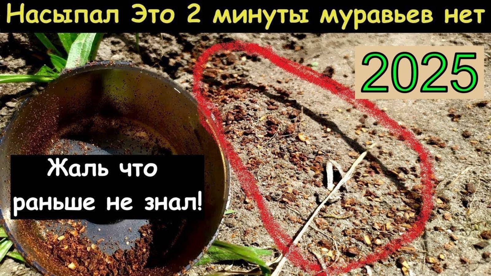 МУРАВЬИ БОЯТСЯ МОЛОТКА СРАЗУ УЙДУТ НАВСЕГДА! БЫСТРЫЙ СПОСОБ КАК ИЗБАВИТЬСЯ ОТ МУРАЬЕВ
