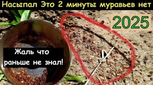 МУРАВЬИ БОЯТСЯ МОЛОТКА СРАЗУ УЙДУТ НАВСЕГДА! БЫСТРЫЙ СПОСОБ КАК ИЗБАВИТЬСЯ ОТ МУРАЬЕВ