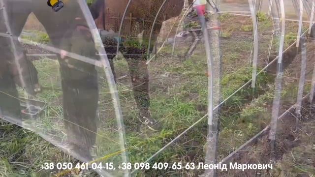 Теплиця 3,5х6м Комбі під плівку і полікарбонат с. Росоша