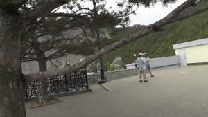Крым день 5 дорога в сторону Ай-Петри
