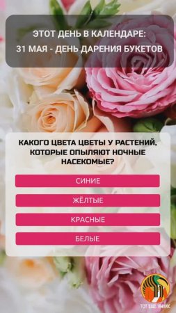 31 мая - День дарения букетов