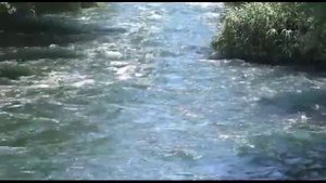 Медитация Устойчивости от Олега Игоревича Жданова